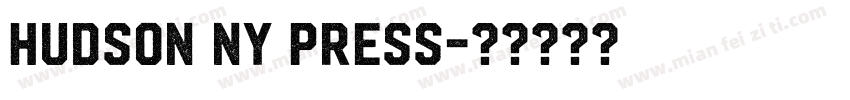 Hudson NY Press字体转换